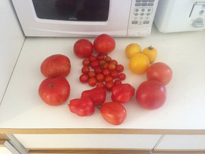 Veggie Tomato Classic Mix Jumbo 6 pack